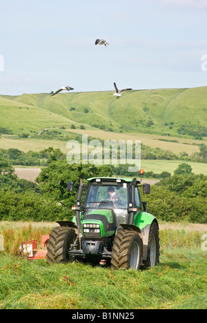 Deutz Fahr Agrotron 180 7 tractor Italian cutting silage in a Wiltshire field Stock Photo