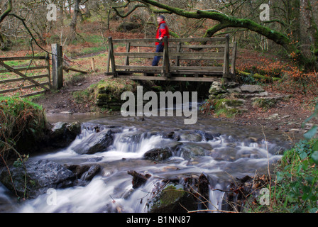 a walker crosses a bridge over a Tumbling moorland stream at Knaplock Wood Exmoor National Park Stock Photo