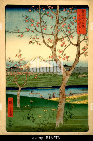 Japan Japanese ,Utagawa Hiroshige 1797 1858 Fuji koshigaya musashi province Stock Photo