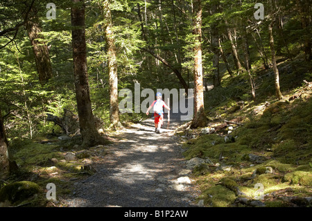Little Boy Walking in Beech forest on Greenstone Track Greenstone Valley near Lake Wakatipu South Island New Zealand Stock Photo