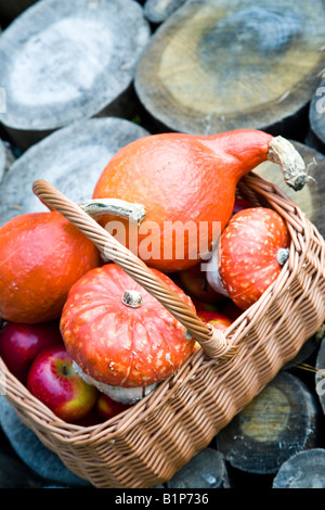Basket Of Pumpkins Full Autumn Stock Photo - Alamy