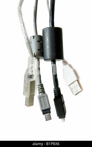 Pus Computer Plug pc usb plug cable close up on a white background Stock Photo - Alamy