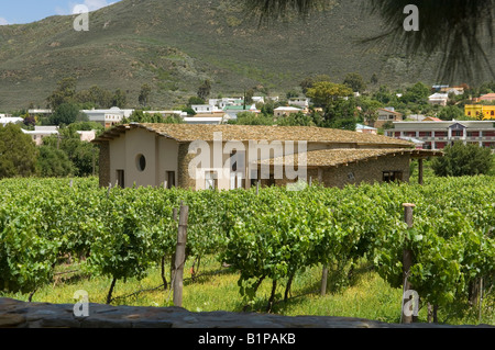 Cob house in vineyard Barrydale, South Africa in the klein karoo, Western Cape Stock Photo