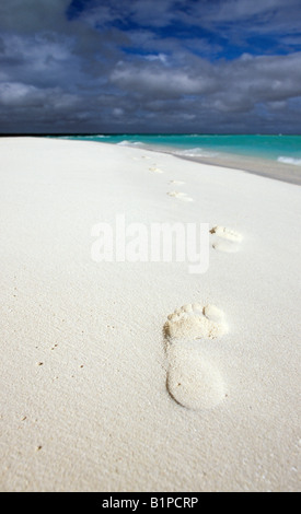 Footprints in the sand on the beach at Cocoa Island, Maldives Stock Photo