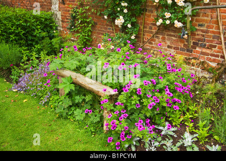 Wooden seat and hardy geraniums in the herbaceous border in the walled garden in Normandy France Stock Photo