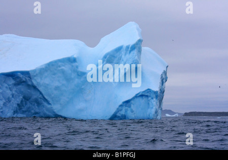 Iceberg off Atlantic coast in Newfoundland and Labrador Canada Stock Photo