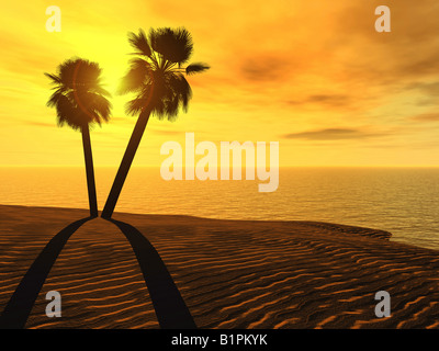 Palm trees and sunset The effective sun a beach water Stock Photo