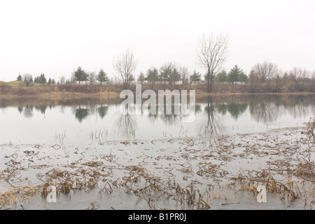 Isle Boucherville in the Fall Stock Photo