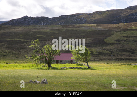 Old Steading, farm croft, landscape, agriculture field or remote disused agricultural building, tin roof, & windswept trees, moorland in Invernesshire Stock Photo