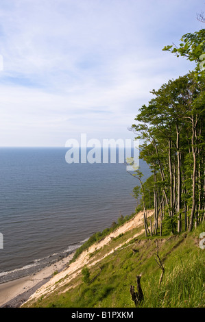 Wolin National Park overlooking Baltic Sea Poland Stock Photo