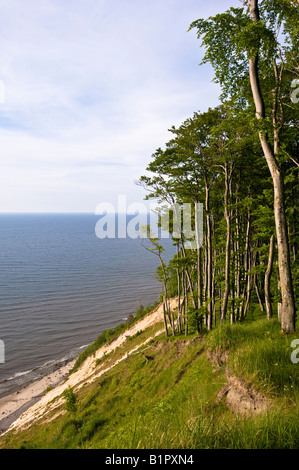 Wolin National Park overlooking Baltic Sea Poland Stock Photo