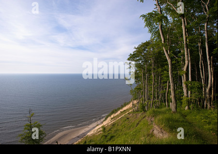 Wolin National Park overlooking Baltic Sea Poland Stock Photo