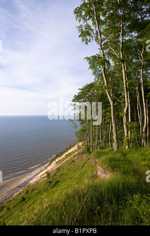 Wolin National Park overlooking Baltic Sea Poland Stock Photo