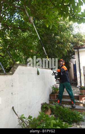 Man in full protective STIHL power tool clothing using a Combi Engine KM 90 with Pole Pruner HT-KM cutting branches Stock Photo
