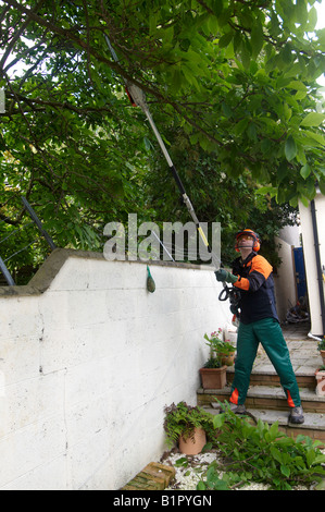 Man in full protective STIHL power tool clothing using a Combi Engine KM 90 with Pole Pruner HT-KM cutting branches Stock Photo