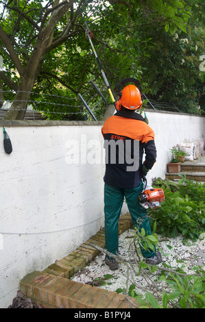 Man in full protective STIHL power tool clothing using a Combi Engine KM 90 with Pole Pruner HT-KM cutting branches garden outdo Stock Photo