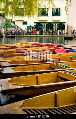 Punts moored or tied up in a line, row,  with the Anchor pub in the background on the River Cam, Cambridge, England, UK Stock Photo