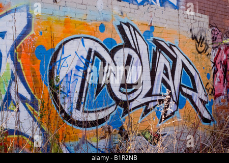 Graffiti spraypainted wall in an abandoned area with tall grass all around Stock Photo
