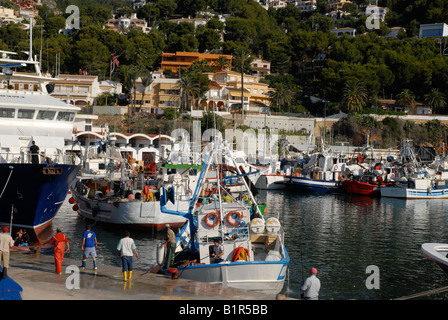 fishermen on fishing boats in the port, Javea / Xabia,  Alicante Province, Comunidad Valenciana, Spain Stock Photo