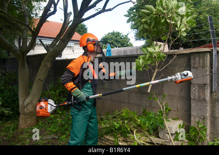 Man in full protective STIHL power tool clothing using a Combi Engine KM 90 with Pole Pruner HT-KM cutting branches Stock Photo