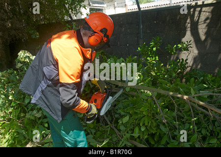 Man in full protective STIHL power tool clothing with his chainsaw MS 180 cutting wood
