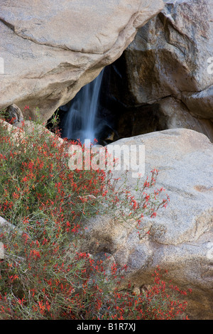 A small waterfall in Borrego Palm Canyon Anza Borrego Desert State Park California Stock Photo