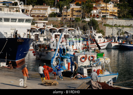 fishermen and boats in the port, Javea / Xabia,  Alicante Province, Comunidad Valenciana, Spain Stock Photo