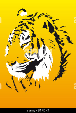 Abstract vector illustration of a tiger over an orange background Stock Photo
