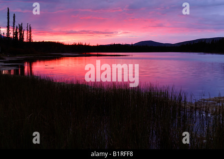 Sunset, evening mood at Moon Lake, Alaska, USA Stock Photo