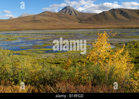 Blackstone River and Tombstone Mountains by the Dempster Highway, Yukon Territory, Canada, North America Stock Photo