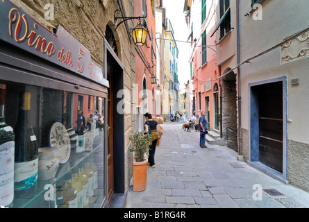 Narrow alley in Vernazzo, Liguria, Cinque Terre, Italy, Europe Stock Photo