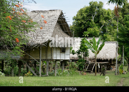 Traditional Papua New Guinea stilt houses constructed by Motuans Stock ...