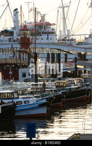 View over the harbour, just before sunset, Hamburg, Germany, Europe Stock Photo