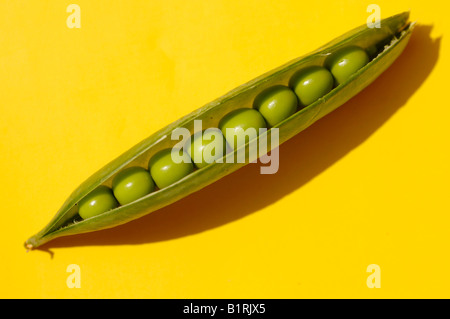 Peas in a pod on a yellow surface Stock Photo