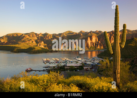 Saguaro Lake in the Tonto National Forest near Fountain Hills outside of Phoenix Arizona Stock Photo