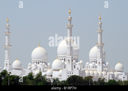 Sheikh Zayed bin Sultan Al Nahjan Mosque, Grand Mosque, third largest mosque of the world, Abu Dhabi, United Arab Emirates, Asia Stock Photo