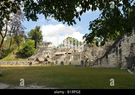 North Acropolis, Plaza Mayor, Mayan ruins, Tikal, Guatemala, Central America Stock Photo