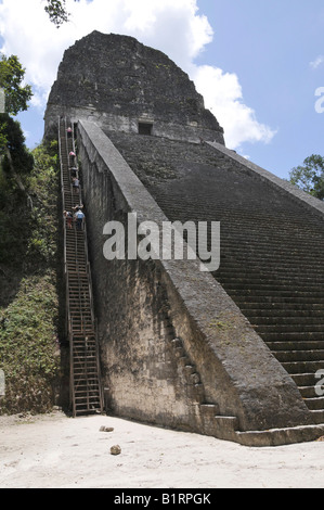 Stone steps and steep wooden steps on Temple 5, Mayan ruins, Tikal, Guatemala, Central America Stock Photo