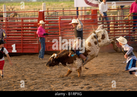 Bull riding in a rodeo, Utah, USA, North America Stock Photo
