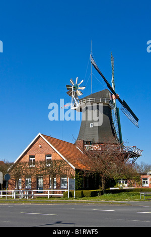 Historical windmill build in typical Dutch style showing the fantail at the back, husking mill, Esens, East Frisia, Lower Saxon Stock Photo