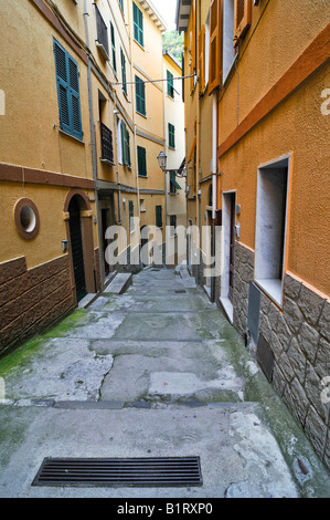 Narrow alley in Vernazzo, Liguria, Cinque Terre, Italy, Europe Stock Photo