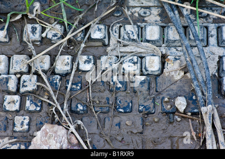 Computer keyboard covered in mud Stock Photo