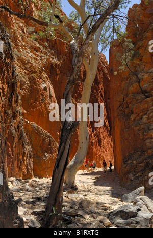 Entry to the Standley Chasm, West MacDonnell Ranges, Northern Territory, Australia Stock Photo