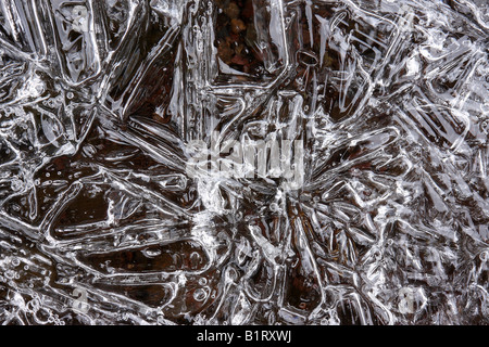 Ice crystals formed on a puddle Stock Photo