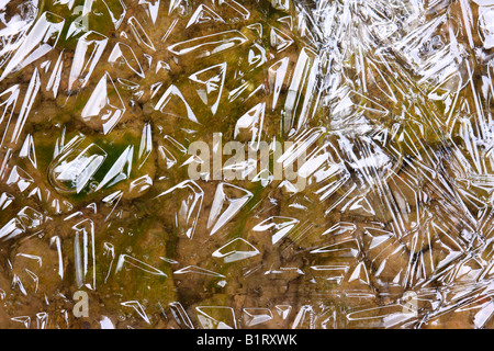 Ice crystals formed on a puddle Stock Photo