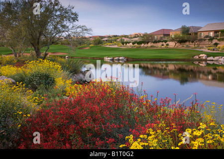 Sunridge Canyon Golf Course Fountain Hills outside of Phoenix Arizona Stock Photo