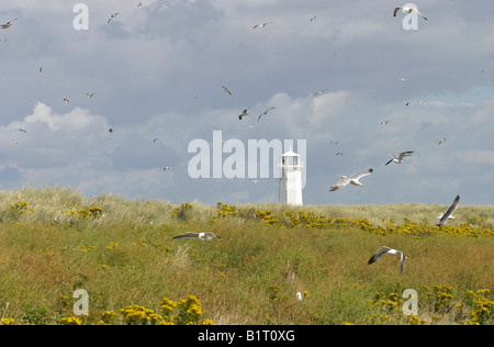 Walney Island lighthouse Barrow in Furness Cumbria Stock Photo