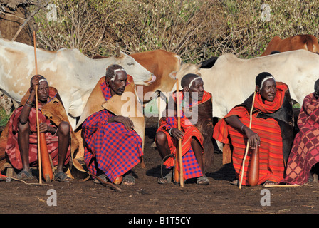 Maasai elders at their village Masai Mara National Reserve Kenya East ...