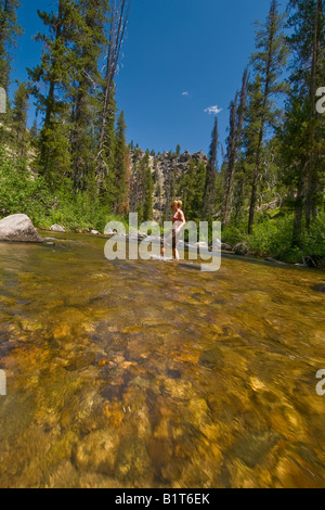 Idaho A woman wades with her dog through the Crooked River on a hot summers day near Idaho City Stock Photo