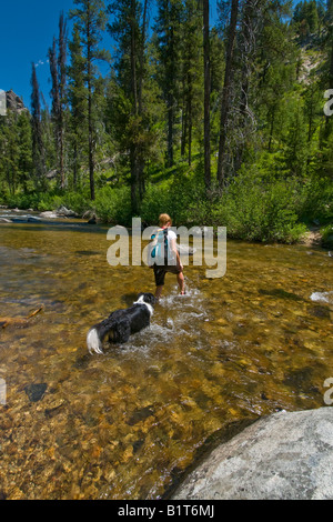 Idaho A woman wades with her dog through the Crooked River on a hot summers day near Idaho City Stock Photo